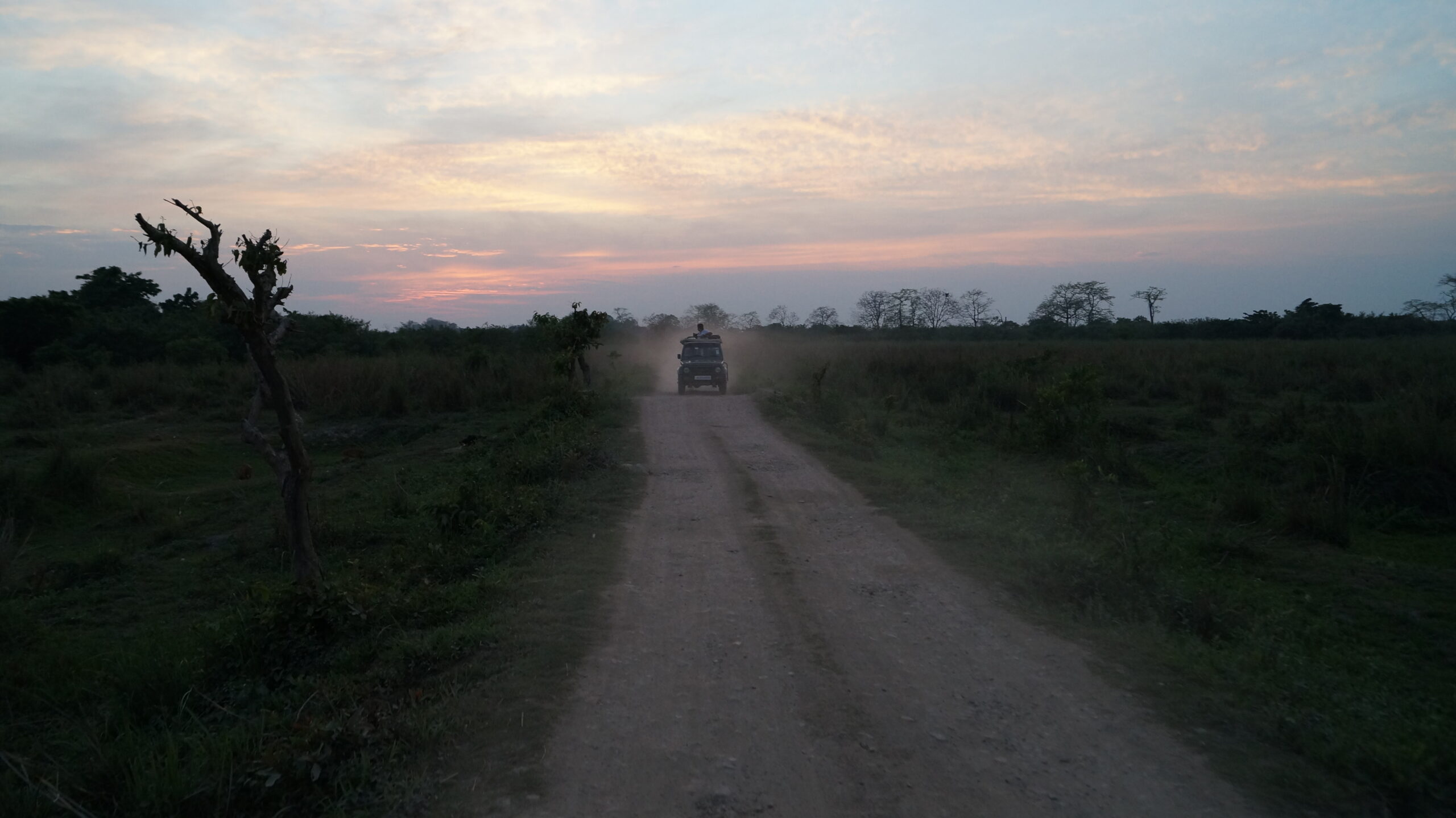 Open gypsy jeep with safari guests watching wildlife on a Panna tiger reserve forest trail